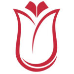 Türkiye Bursları